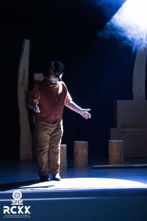 skarpetyipapiloty 110 skarpetyipapiloty 110